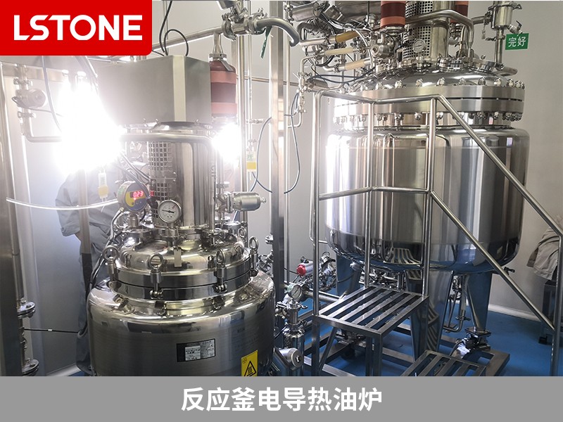 反應(yīng)釜電導(dǎo)熱油爐2